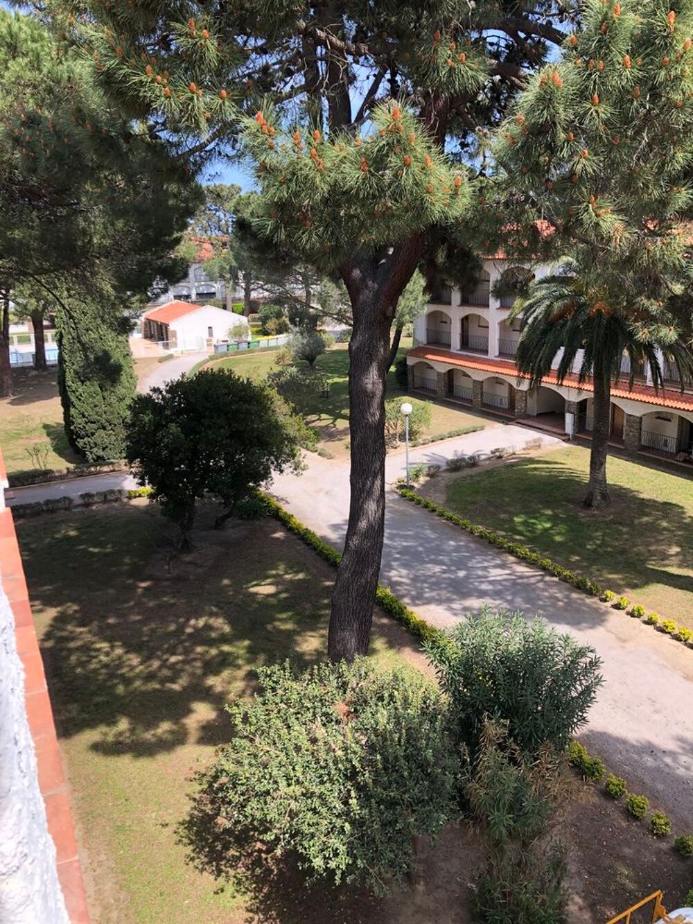   Bel appartement climatisé, avec piscine, proche plage Languedoc-Roussillon, Argelès-sur-Mer (66700)
