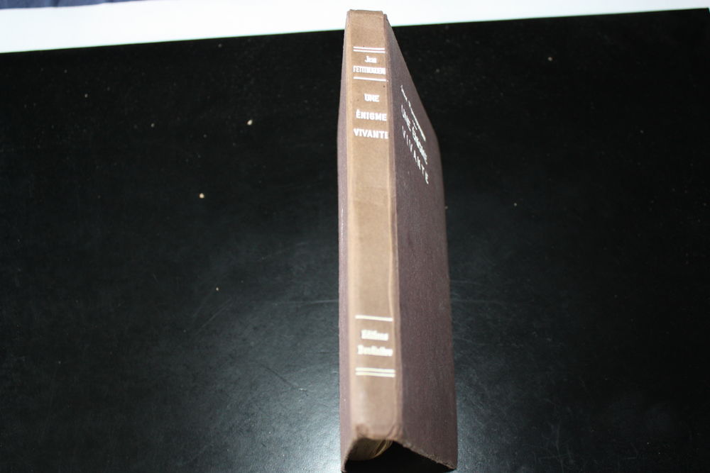 LE ROI DE L'ABIME TomeII:UneEnigmeVivante-PETITHUGUENIN-1929 Livres et BD
