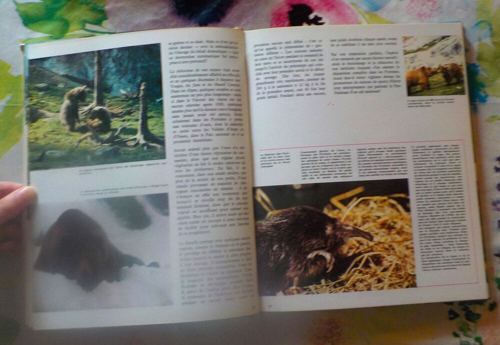 LES ANIMAUX EN PERIL par F. de la Grange Ed. Nathan Livres et BD