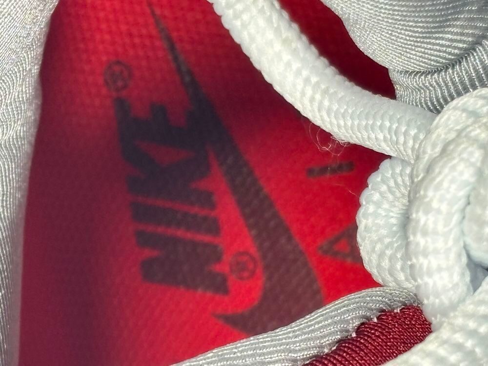 Nike air Max 95 anatomy of air Chaussures
