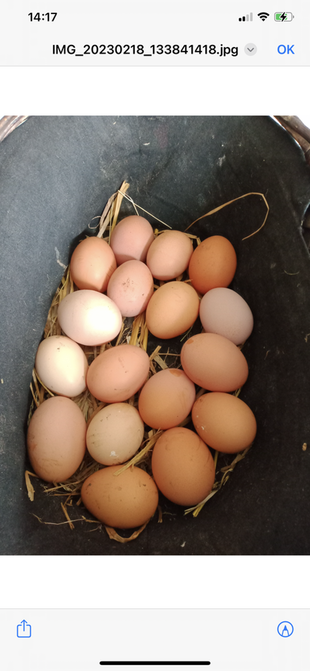 Oeufs de la ferme bio Jardin