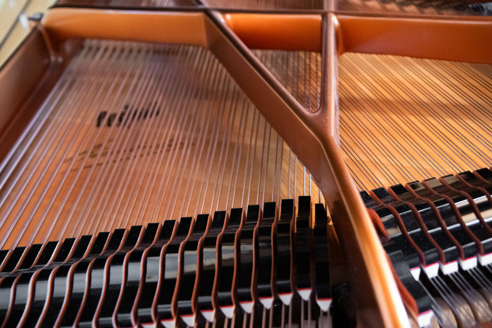 B&ouml;sendorfer Instruments de musique