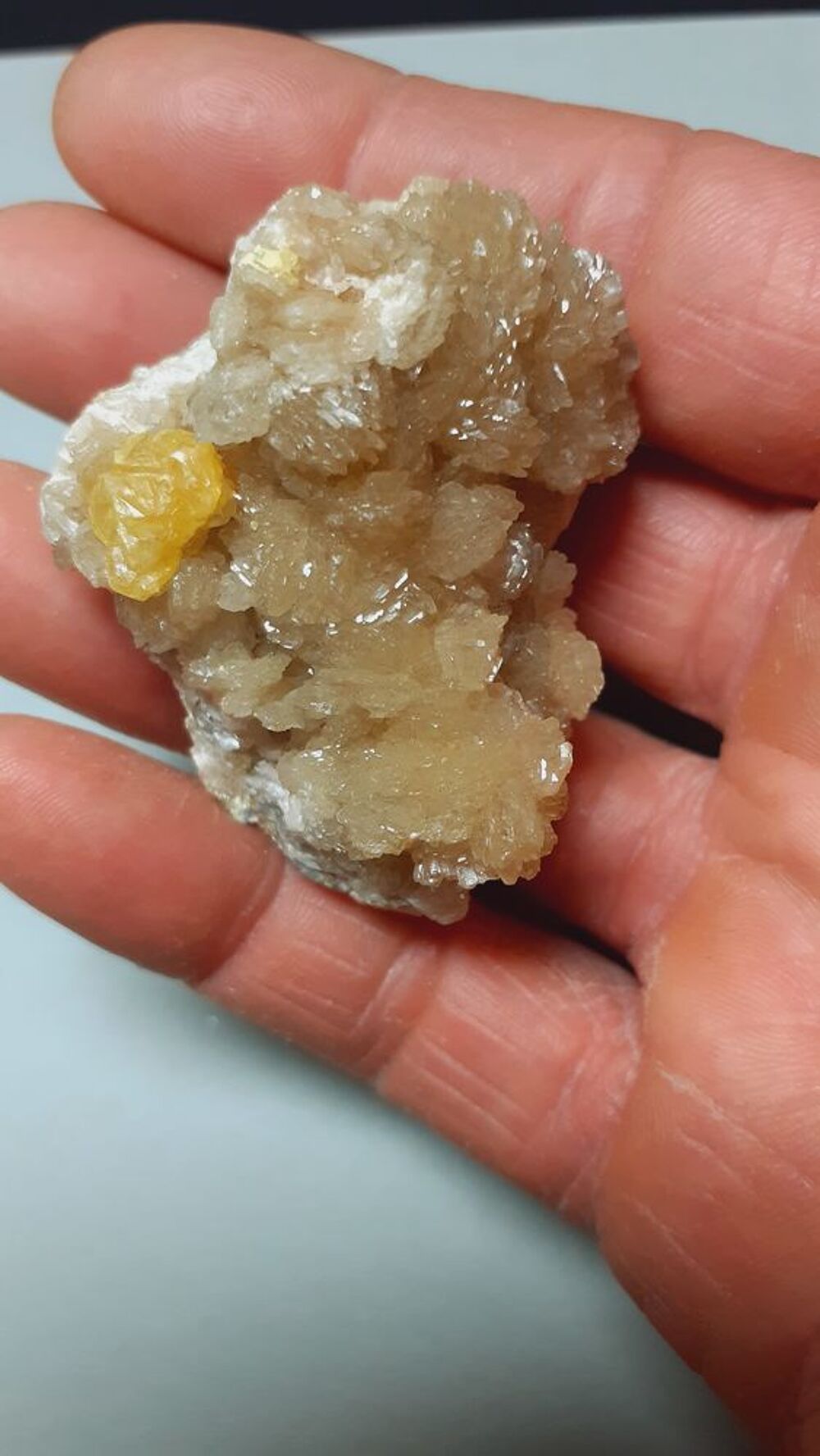 Barytine et soufre de Machow, Pologne 