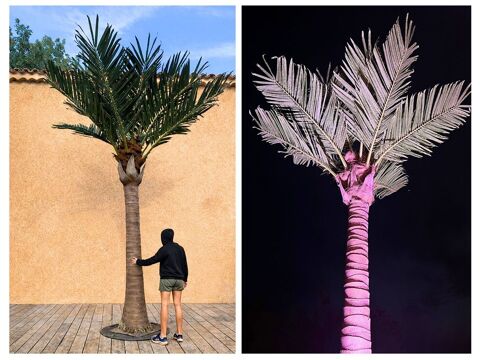 PALMIER PHOENIX ARTIFICIEL GEANT 4,50 M 990 Saint-Maximin-la-Sainte-Baume (83)