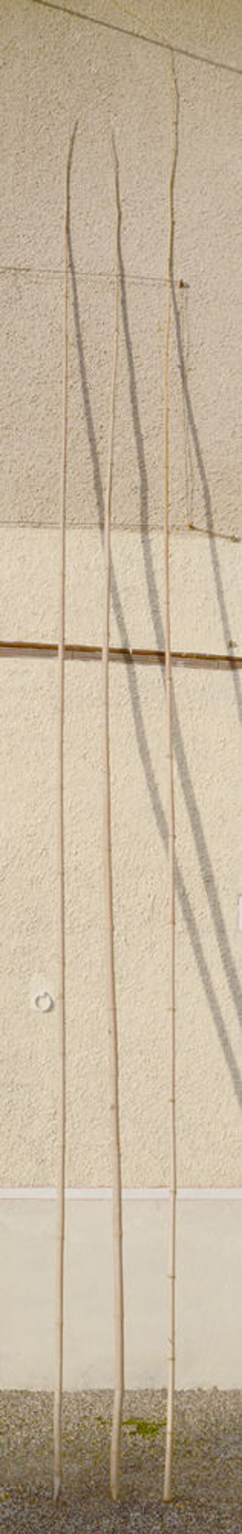 P�che au coup: 3 cannes bambou et 13 sions s�lectionn�s 49 Saint-Clair-sur-Galaure (38)