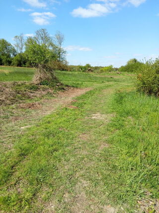  Terrain à vendre 17000 m² Paris