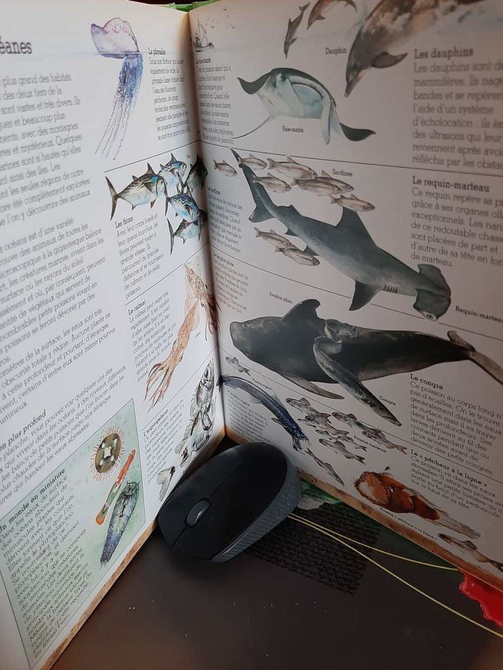 LES ANIMAUX LEUR ADAPTATION AU MILIEU NATUREL Livres et BD