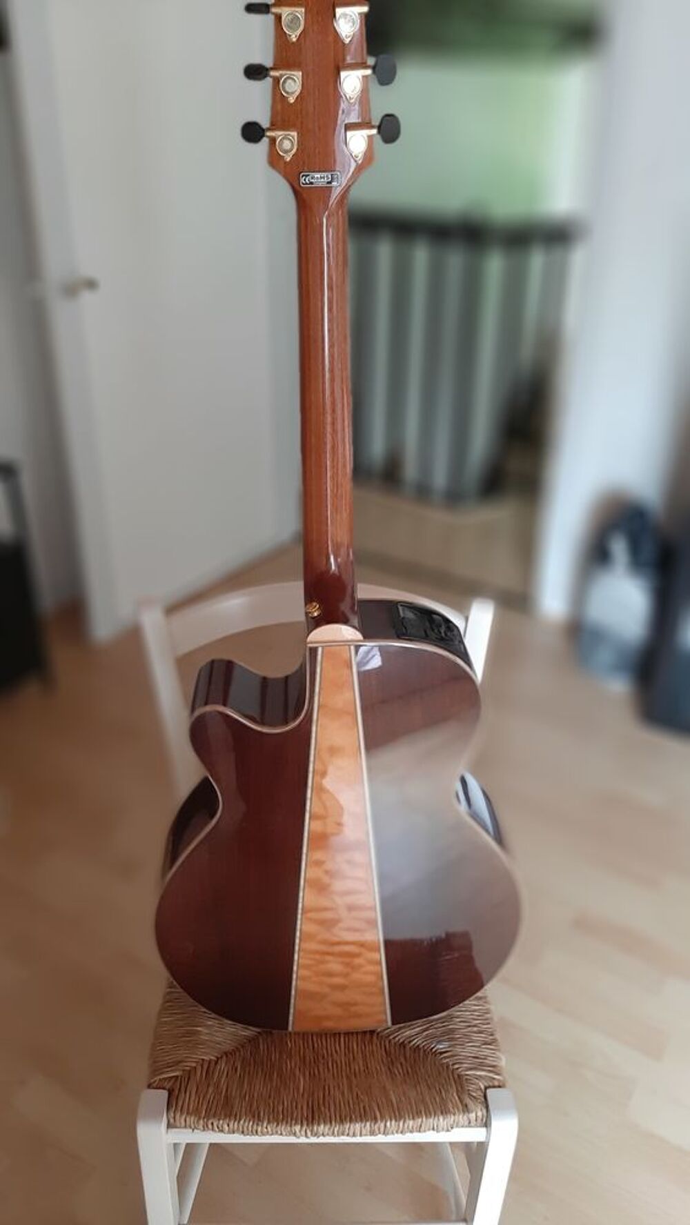 av guitare TAKAMINE Instruments de musique