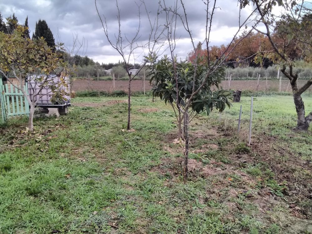 Location Terrain terrains de loisir potager Eyragues