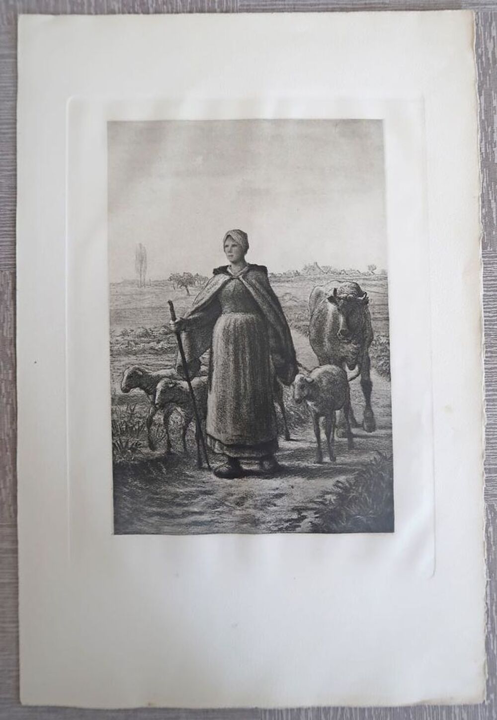 Gravure champ&ecirc;tre. Décoration