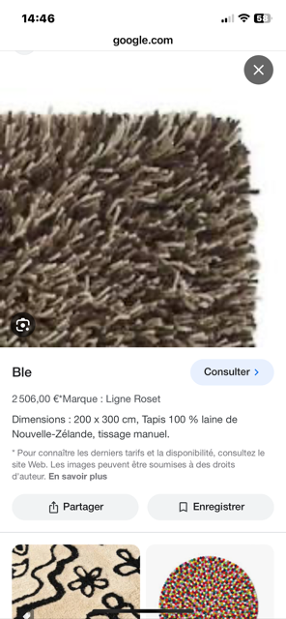 Grand tapis Ligne Roset Décoration