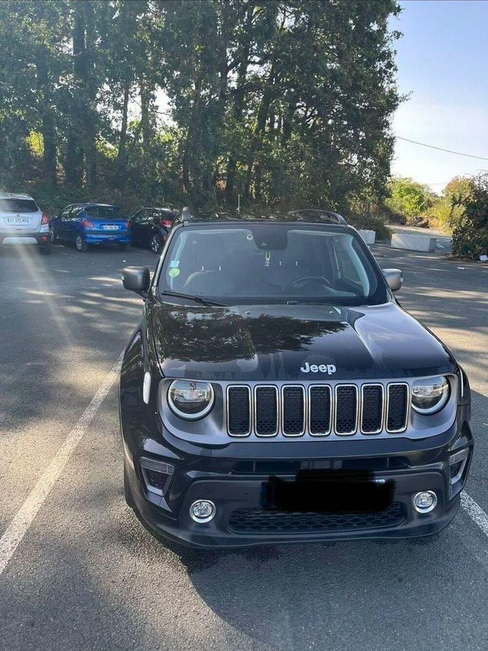 Renegade 1.6 l MultiJet 120 ch BVM6 Limited 2019 occasion 49800 Tr&eacute;laz&eacute;