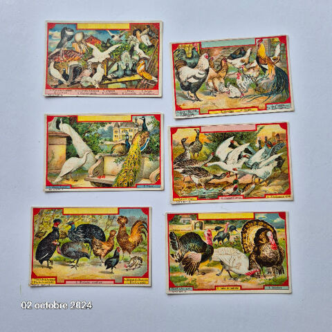 Lot de 6 images Leroux sur les animaux à plumes de la ferme, 12 Saumur (49)