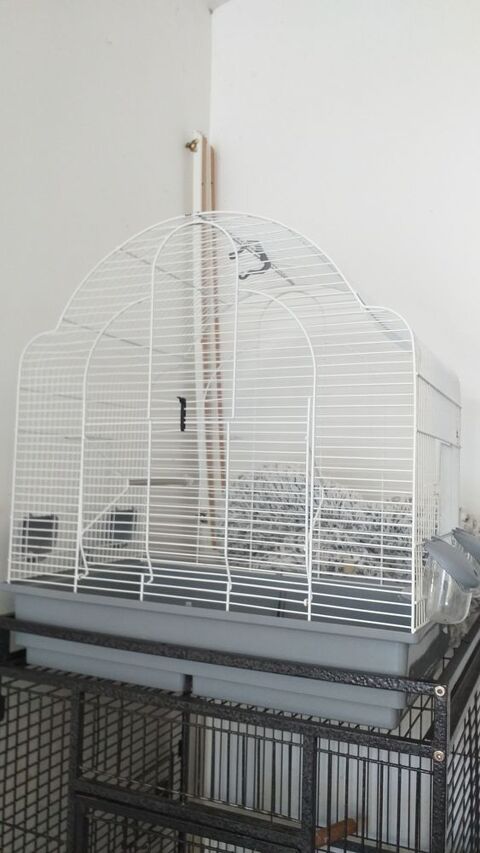 Très belle cage pour oiseaux. Très bonne état 150 30290 Laudun-l'ardoise
