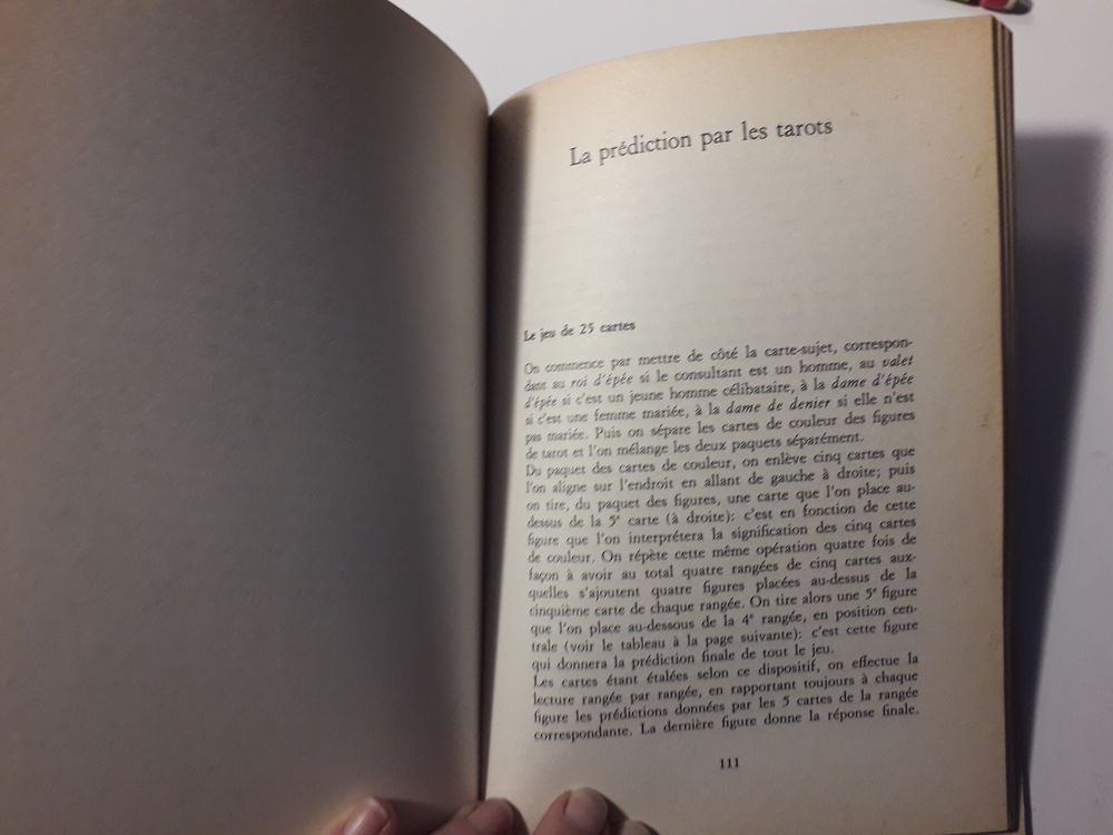 Comment pr&eacute;dire l'Avenir avec les cartes Livres et BD