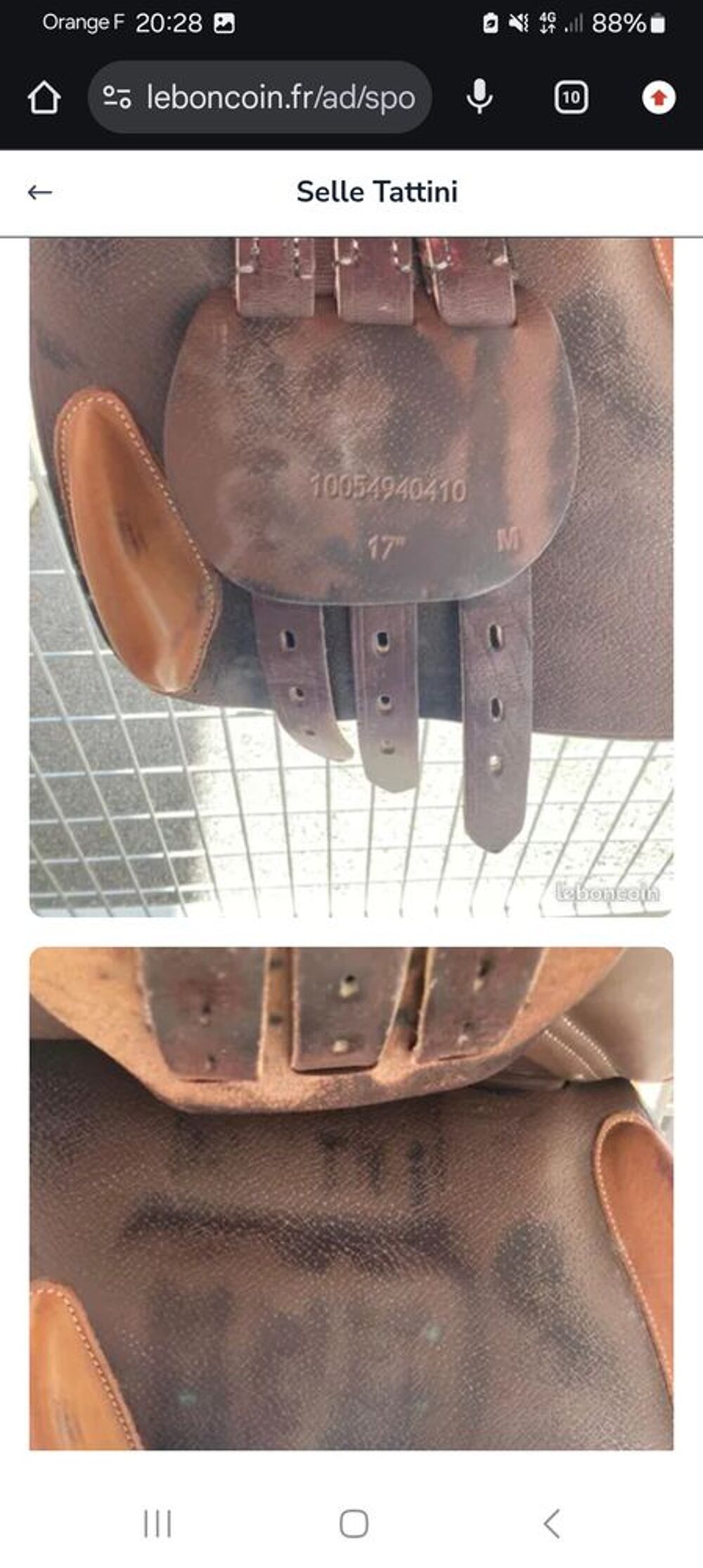 selle cheval Tattini Sports