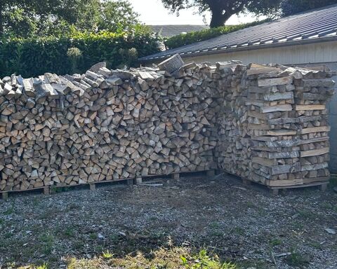 bois de chauffage Mespaul (29)