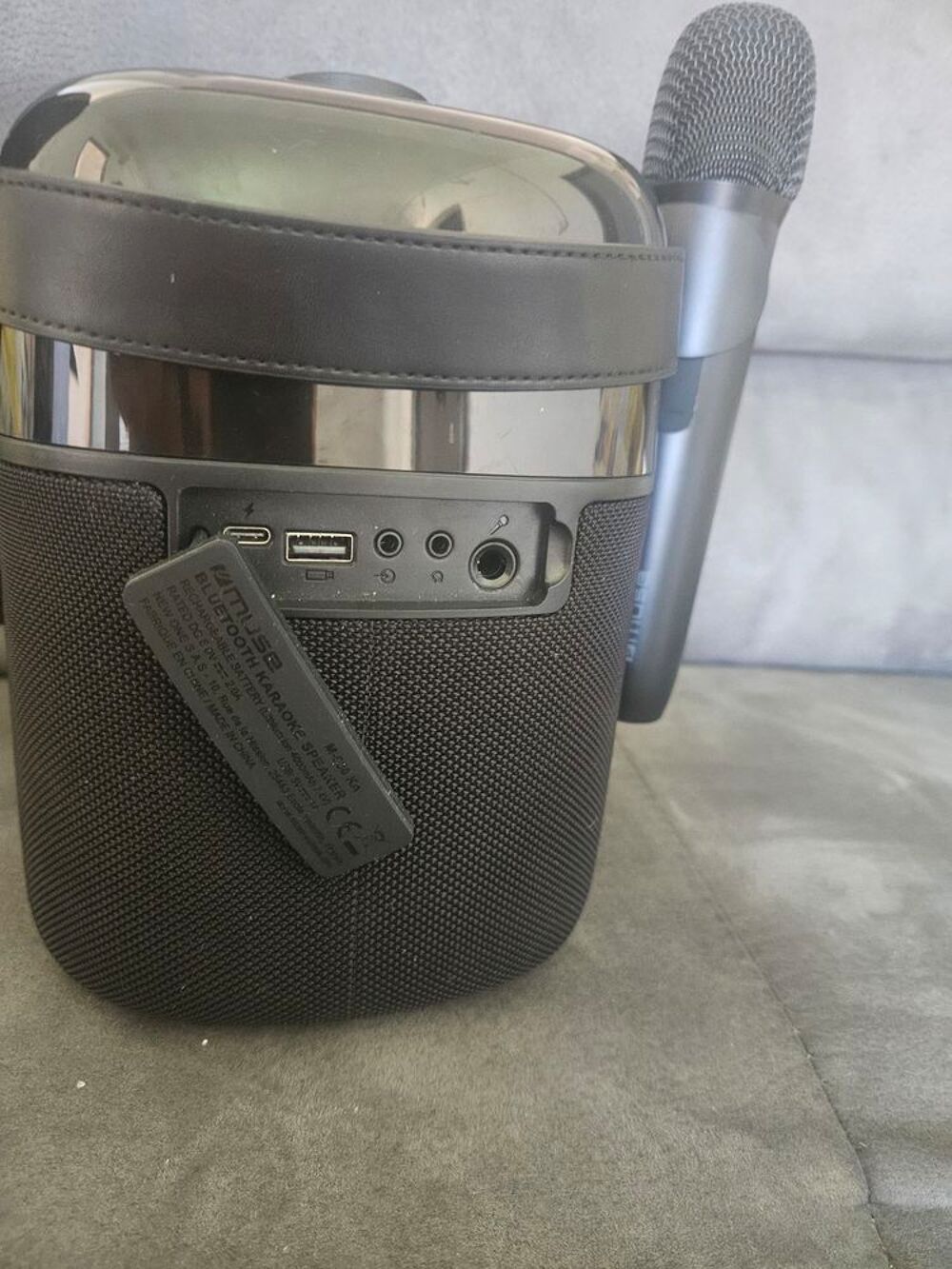 Karaoke avec 2 Micro Audio et hifi