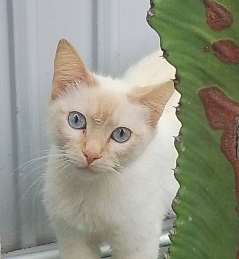 PARIS 220 95610 ragny