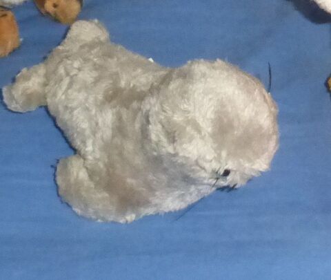 PELUCHE (1) 2 Doussard (74)