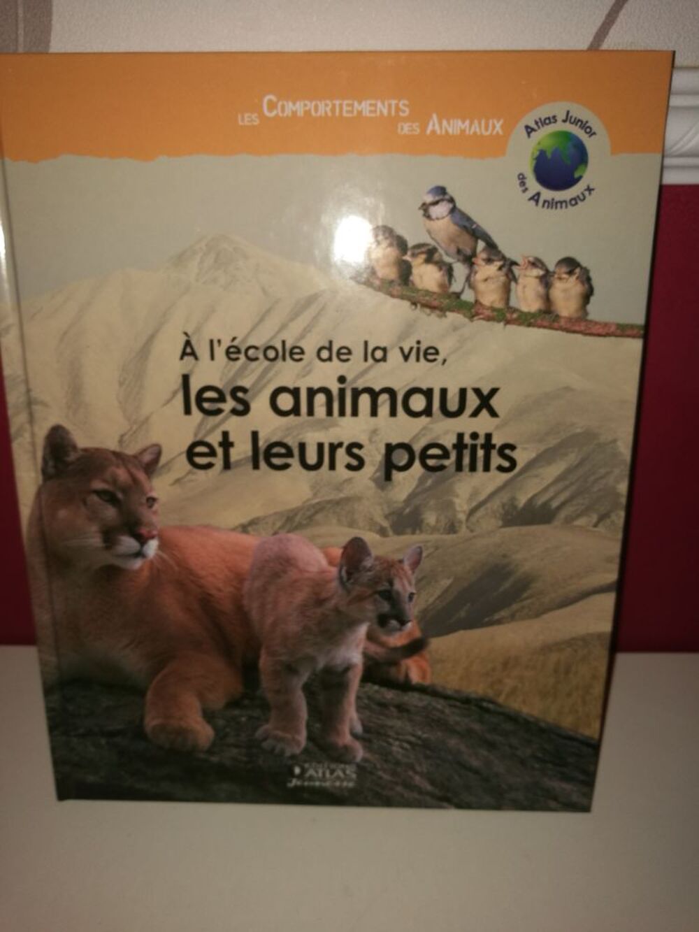 Livre Atlas junior de animaux "Les animaux et leurs petits " Livres et BD
