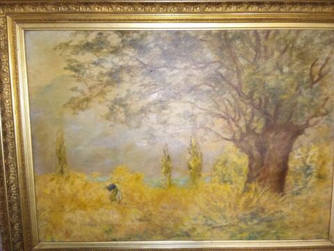 tableaux huile grand format 120 Avignon (84)