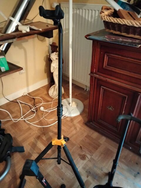 Pieds guitares 50 Sainte-Genevive-des-Bois (45)