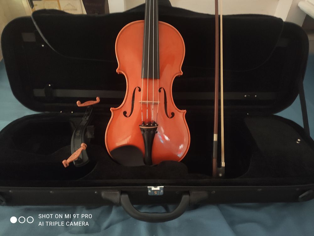Violoncelle et violon. Instruments de musique