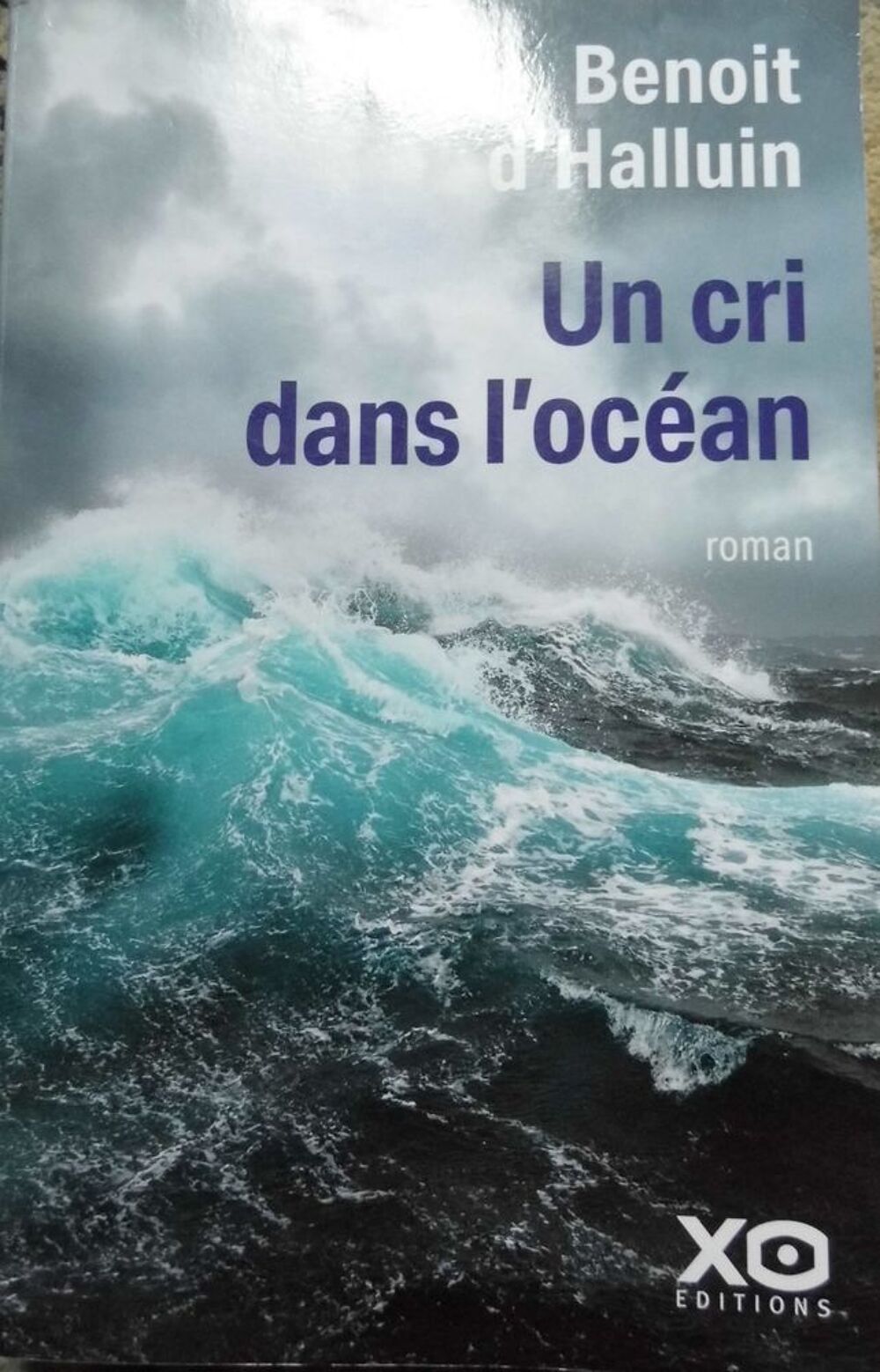 Un cri dans l'oc&eacute;an Livres et BD