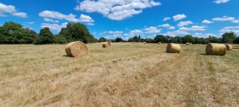  Terrain � louer 40000 m� Saint-martin-du-fouilloux