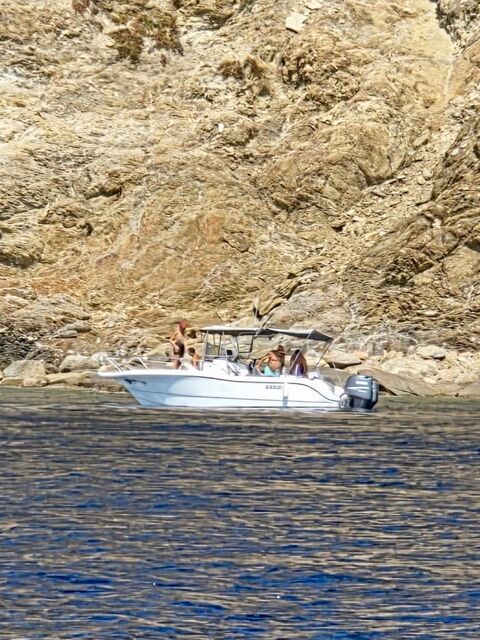 Bateaux à moteur Pêche-promenade 2002 occasion Taillades 84300