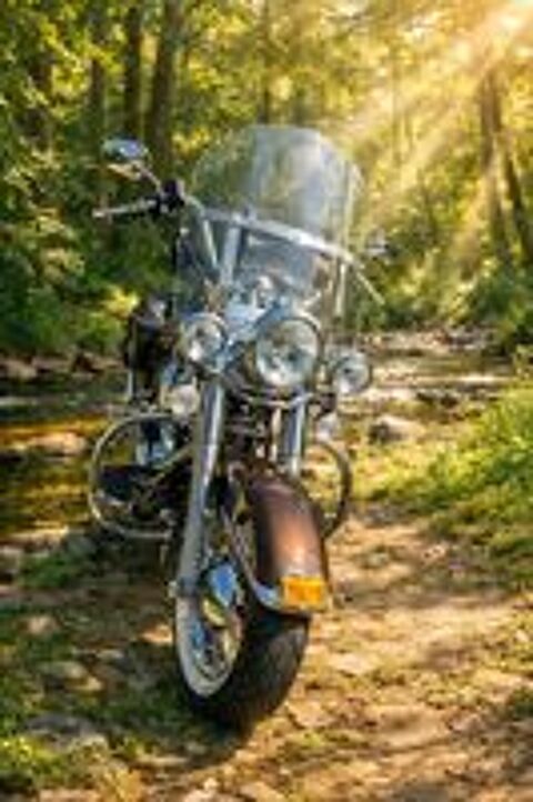 HARLEY-DAVIDSON 2012 occasion 77370 La Chapelle-Rablais