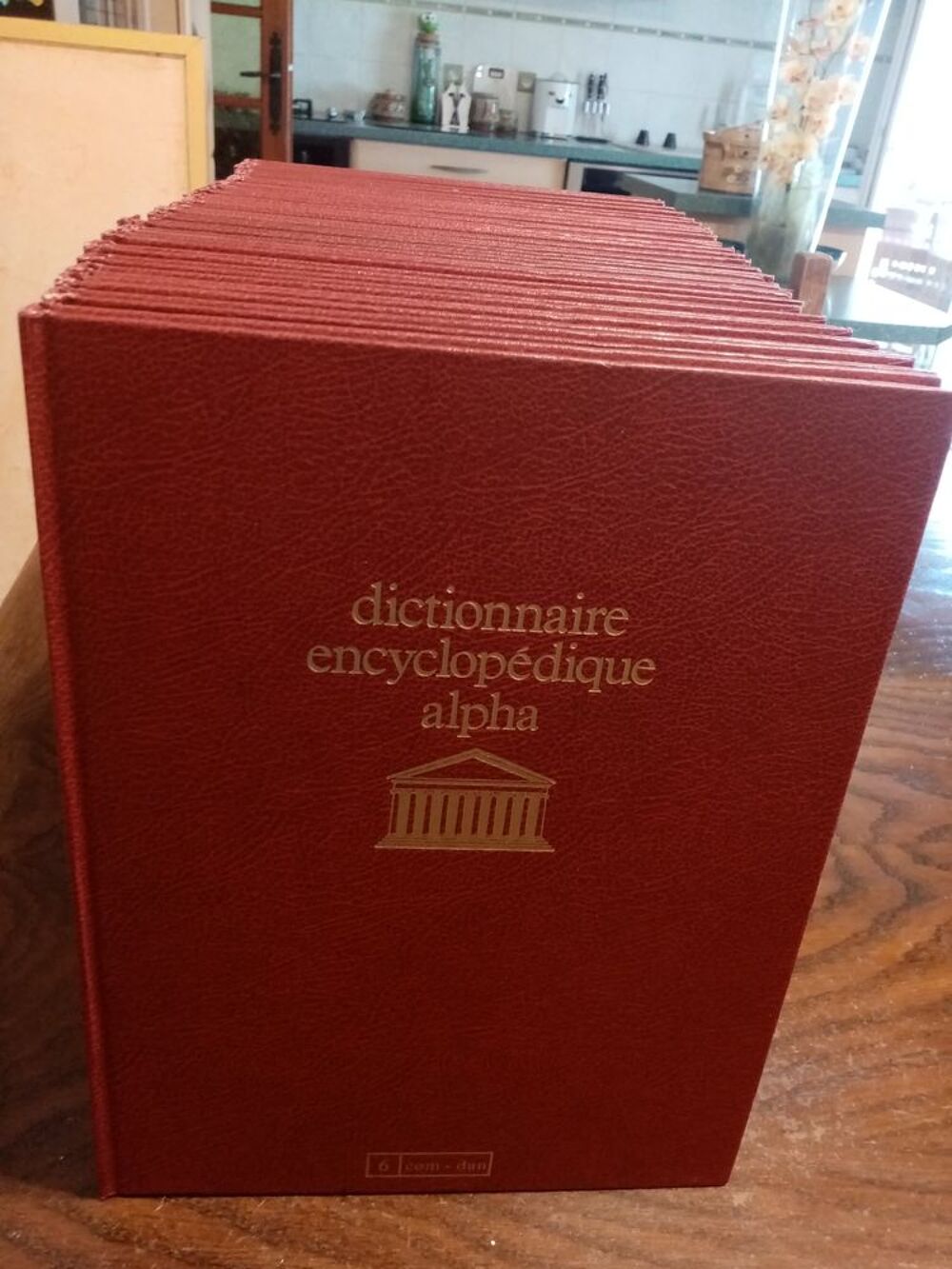 Dictionnaire encyclop&eacute;dique Alpha-Edition Erasme- Livres et BD