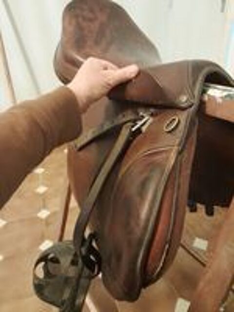   Selle  forestier  
