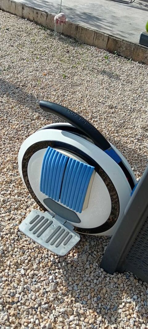 Monoroue Ninebot One +Segway 380 Chavannaz (74)