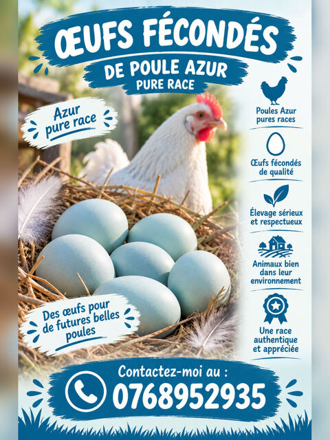?ufs f&eacute;cond&eacute;s Azur pure race 3 13500 Martigues