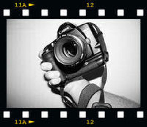   Réalisation de séances photos 