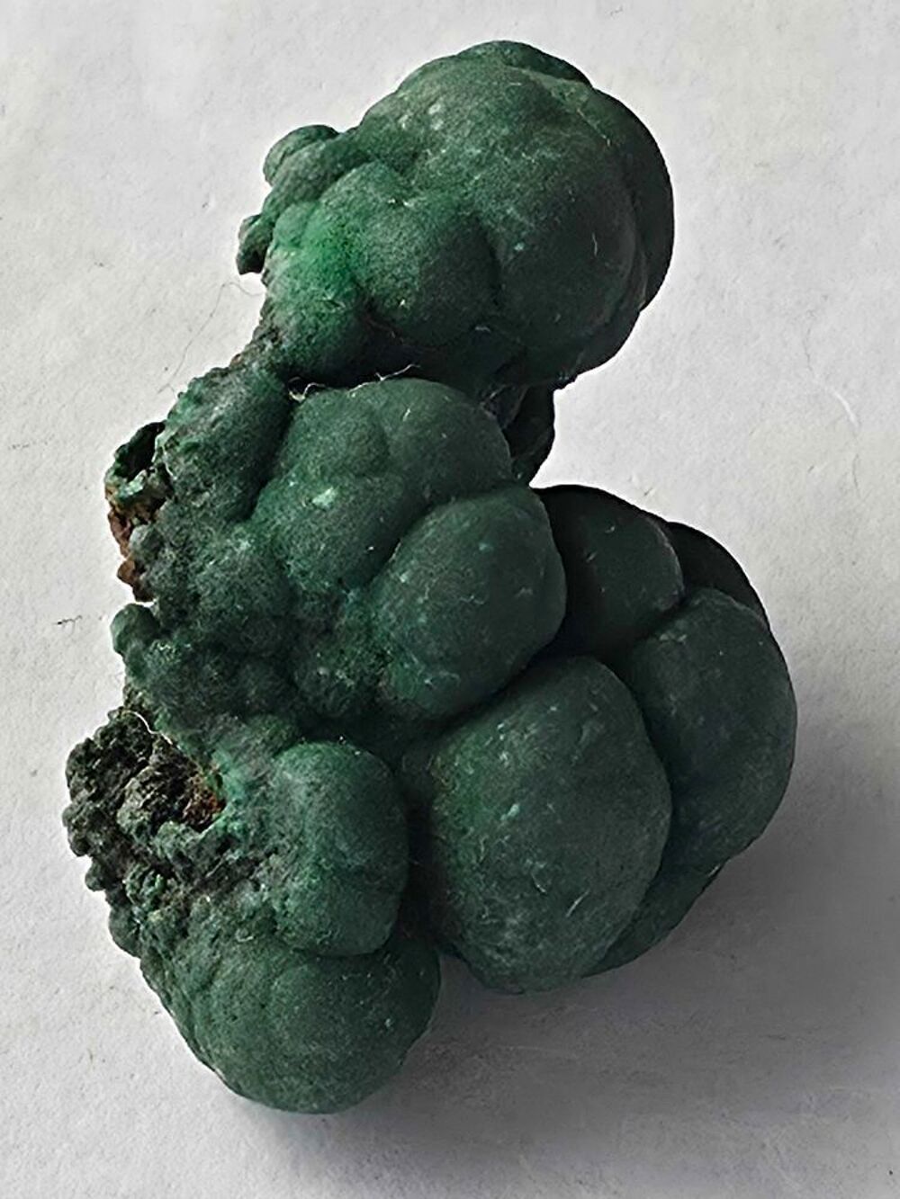 Rare Stalactite de Malachite Brute Vert Profond Katanga RDC-24g 