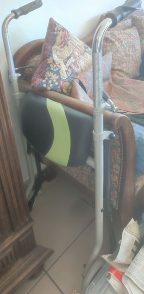 D�ambulateur  50 Audincourt (25)