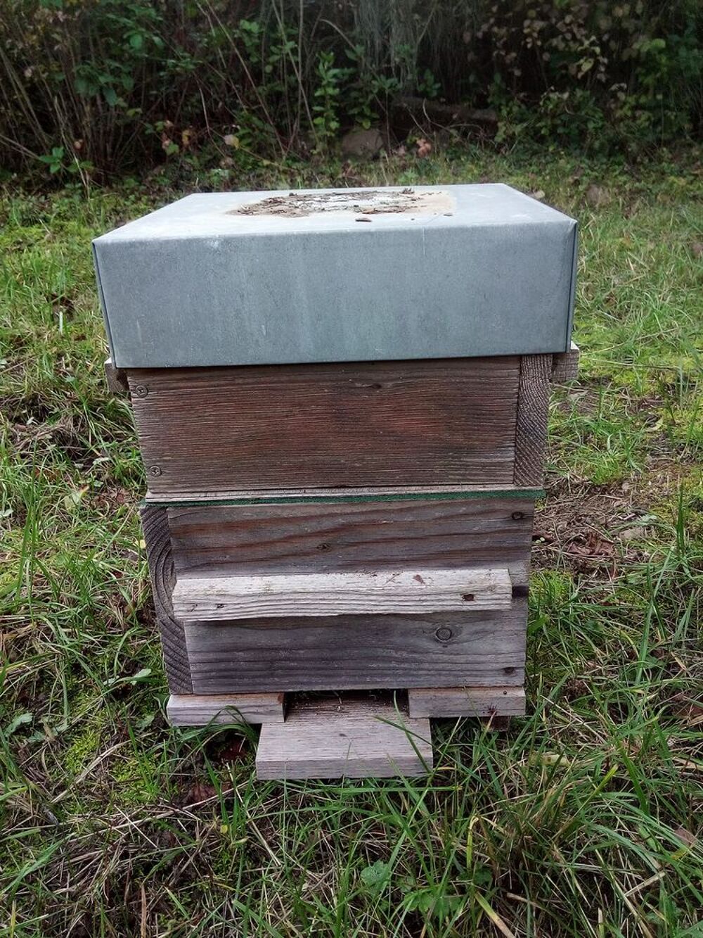 Ruches warre Jardin