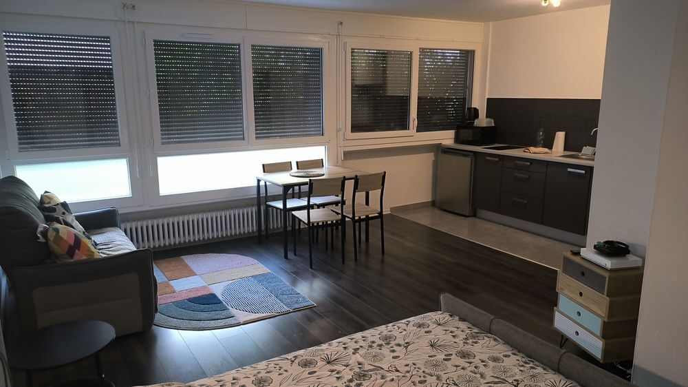 Location Appartement Studio meublé lumineux de 35m² en hyper-centre Toulouse