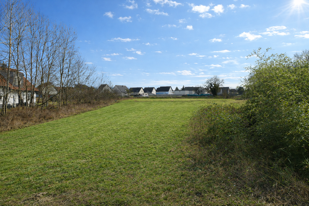 Vente Terrain GRAND TERRAIN CONSTRUCTIBLE DE 1115 m² - DIVISIBLE - Sessenheim
