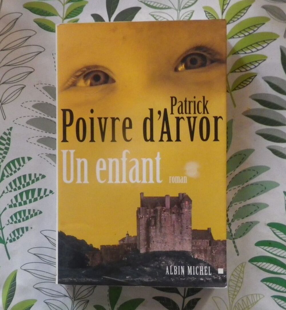 UN ENFANT de Patrick POIVRE D'ARVOR Ed. Albin Michel Livres et BD