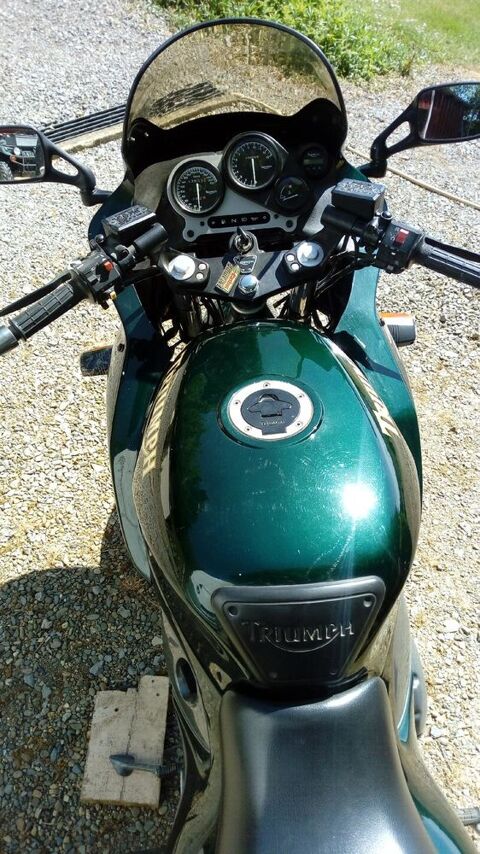 Moto TRIUMPH 1997 occasion Boueilh-Boueilho-Lasque 64330