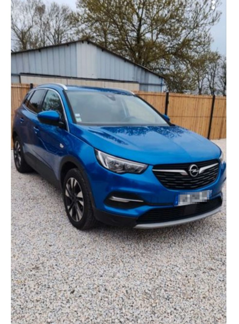 Opel Grandland x Grandland X 1.6 D 120 ch ECOTEC Edition 2017 occasion Tonnay-Charente 17430