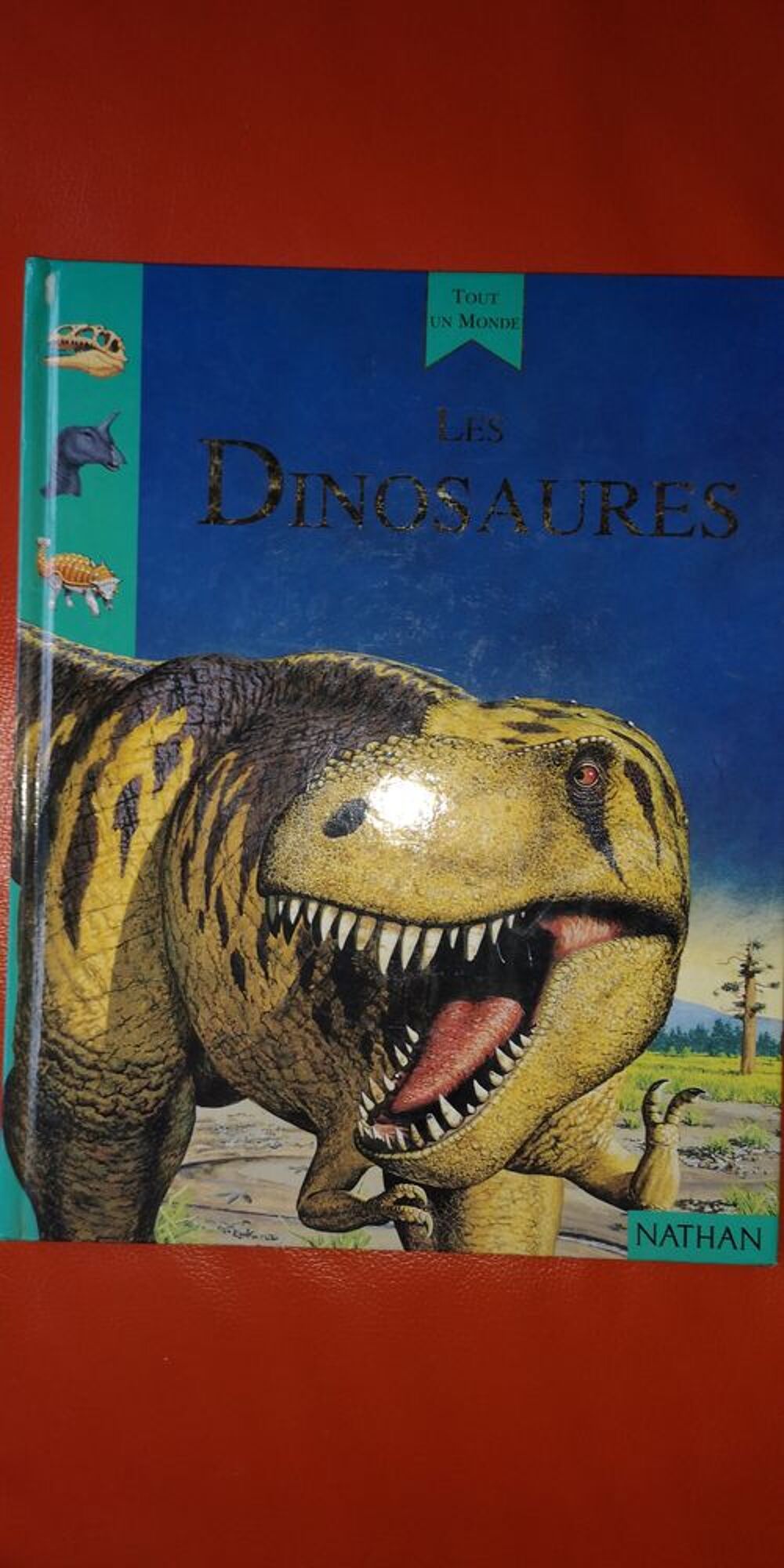 Livre LES DINOSAURES - d&egrave;s 7 ans Livres et BD