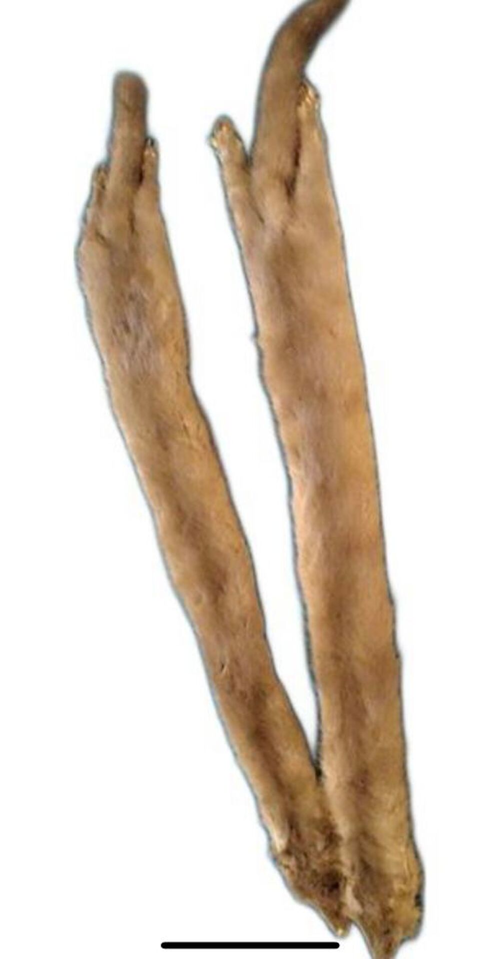 Manteau de vison Vêtements