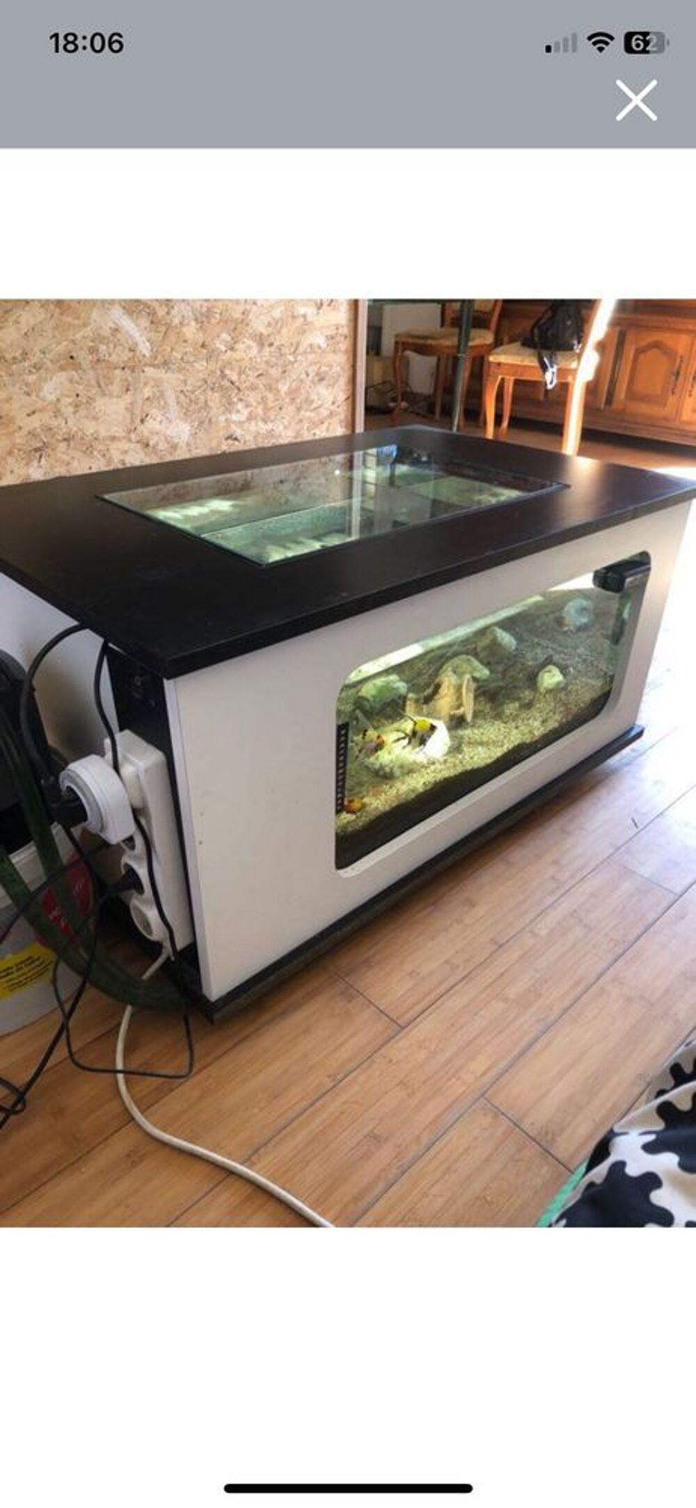 aquarium 200l Décoration