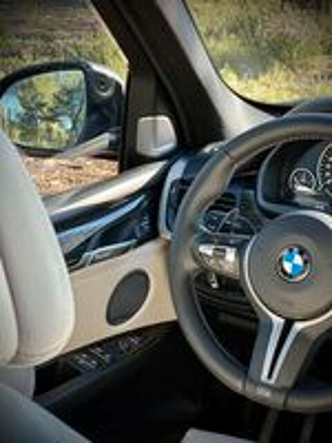 X5 M50d 381 ch BVA8 2013 occasion 83330 Le Beausset