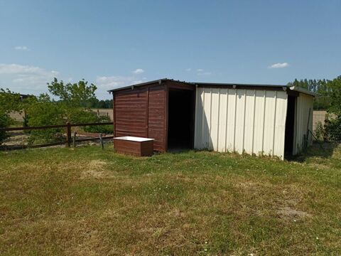 Pré pour chevaux avec abris eau foin paille terrain électrifié terrain bien herbeux 0 49250 Beaufort-en-valle